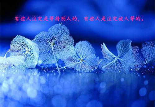 明月不可亵首发小说 纪橙雨张毅谢澜案在线阅读