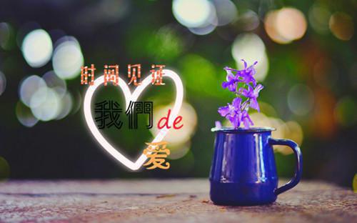 重生替妹妹献祭前，我用直播曝光家族秘密小说 重生替妹妹献祭前，我用直播曝光家族秘密夏饭