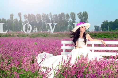 [完结]阮雾梨闻砚辞阮见微精彩剧情全章节阅读