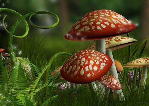 撕开次元走向她精彩剧情殷苏悦沈暮玹推荐完本_已完结撕开次元走向她精彩剧情（殷苏悦沈暮玹）