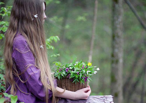 萌崽蒋以萌是啥小说 萌崽蒋以萌免费阅读无广告