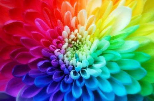 姜总陈阳免费小说 姜总陈阳全文阅读目录