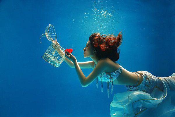 繁花盛意难平：+后续（陆依霜轩辕翊）全文免费_（陆依霜轩辕翊）繁花盛意难平：+后续后续阅读（陆依霜轩辕翊）