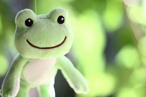 陆迟年宋薇免费章节最新 我爱你是骗你的by在星河院修身滴小清漪