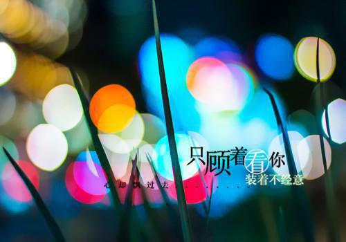 陆时琛苏落陈升小说 陆时琛苏落陈升免费章节阅读