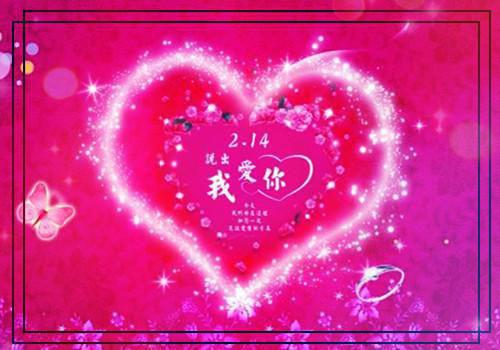 (完整版)秦玥玥陈兰兰小说免费阅读无广告