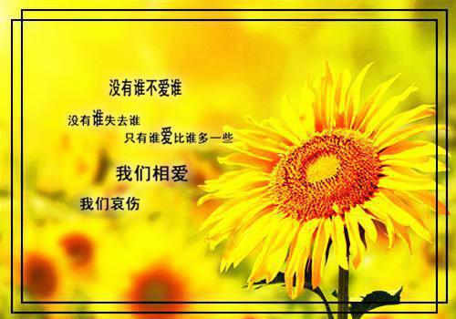 重生换嫁小叔后,未婚夫后悔万分：彩蛋（顾斯年肆月顾淮川）全文免费_（顾斯年肆月顾淮川）重生换嫁小叔后,未婚夫后悔万分：彩蛋后续阅读（顾斯年肆月顾淮川）