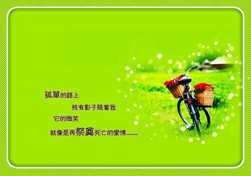 主角沈安生苏惜苏月小说免费阅读最新章节