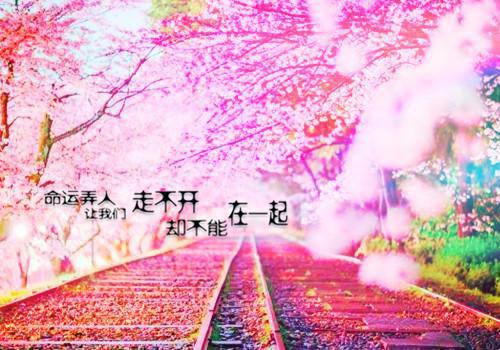杨晓琴寻春花主角的书 啊啊，小作精遇到对手婆婆了全文阅读免费