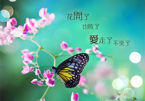 文漫水陈慕言的小说 我家有个小魔丸文漫水陈慕言小说小说免费阅读