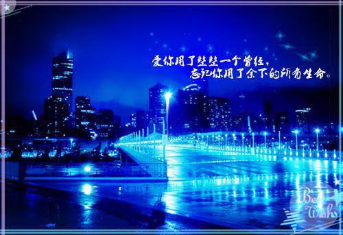 (抖音小说)蒋域汪明月宁远舟小说全文阅读免费
