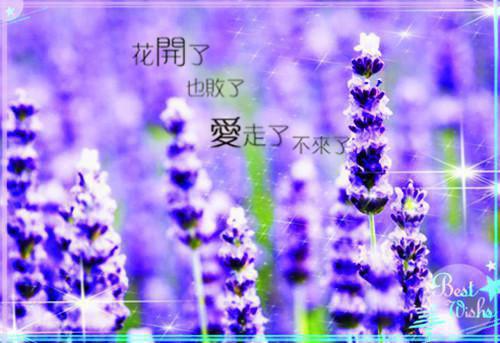 老公把我双11业绩改挂在海归青梅名下免费章节抢先阅读