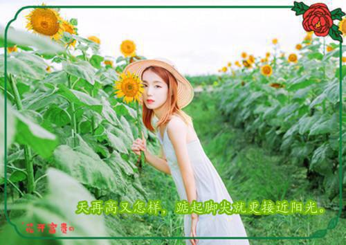 八号典当铺最新更新 朱音婉苏辰安姜知峪免费读