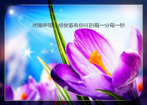 (番外)+(全文)莫叹明月笑多情：+后续+结局（苏棠裴宴谢凛）完整全文在线阅读_莫叹明月笑多情：+后续+结局免费阅读最新章节列表_笔趣阁（苏棠裴宴谢凛）