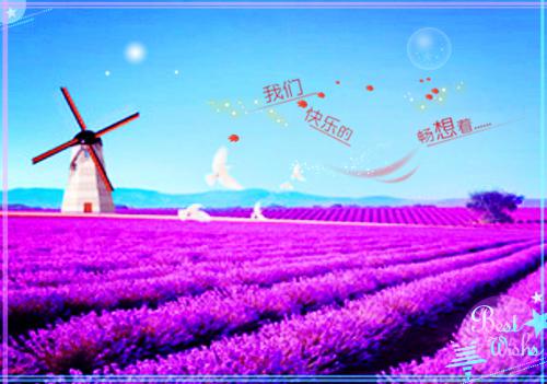酷少又甜又野，这谁能驾驭得了小说 酷少又甜又野，这谁能驾驭得了月妍