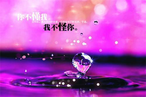 赵慕赵炘是啥小说 赵慕赵炘免费阅读无广告