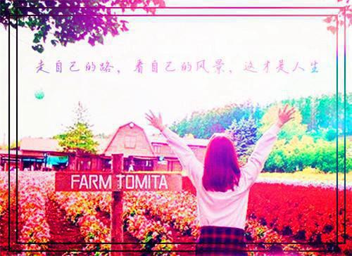 楚烟周羡君免费小说 楚烟周羡君全文阅读目录