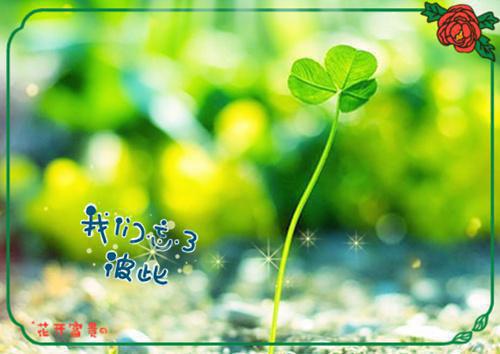 主角叶凛川林清晏小说免费阅读最新章节