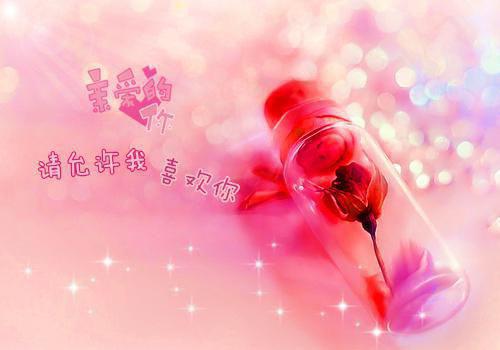 姜瓷宋寒洲小说阅读 姜瓷宋寒洲全文免费无广告