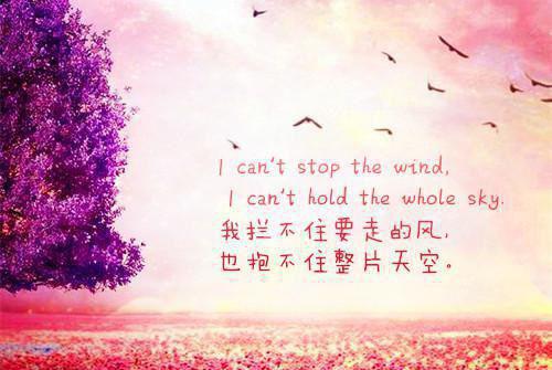 沈青禾霍沉洲：番外+最新章节列表_沈青禾霍沉洲：番外+全文免费阅读