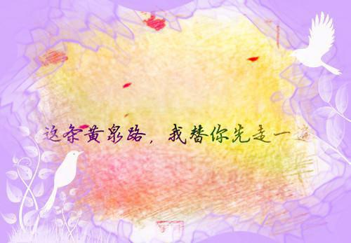 初见乍惊欢必读（沈意眠段钦言）最新章节_初见乍惊欢必读全文阅读