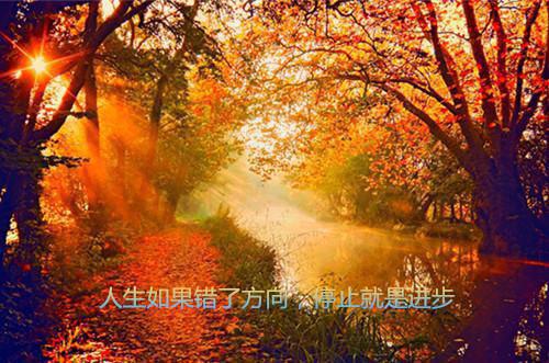 闻景祝小溪小说目录 闻景祝小溪完整免费版阅读