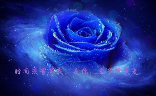 先婚后爱：沈爷死活不离婚沈宴苏墨无广告小说免费在线阅读