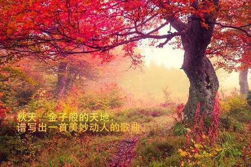 贺津南姜隐是什么小说 太子爷悔疯了，她却头也不回陆尽野