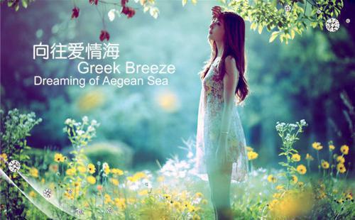 半生思念碎如风首发小说 沈行舟姜云芝在线阅读
