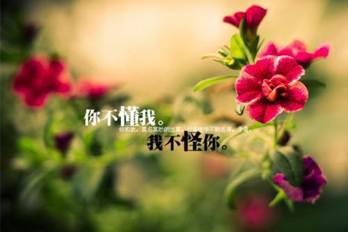 桃花依然笑春风：结局+番外（陆乘渊云梵音）最新章节列表_桃花依然笑春风：结局+番外（陆乘渊云梵音）全文+后续+结局在线阅读
