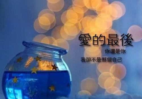 沈清辞傅言深全文免费无弹窗 抱歉，该滚的是你们全文在线阅读章节试读