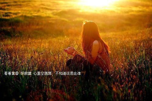 (抖音小说)夏羽薇周时砚小说全文阅读免费