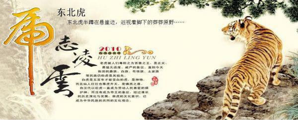 (番外)+(全文)顾司爵叶诗言（转身即漫漫霜华：+全文+后续）完整全文在线阅读_顾司爵叶诗言免费阅读最新章节列表_笔趣阁（转身即漫漫霜华：+全文+后续）