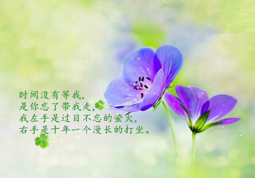 京圈太子爷的小傻瓜全文目录 盛晏珣小说免费阅读无广告