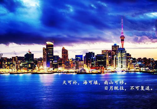 丈夫污蔑儿子***他的初恋，看到儿子骨灰后他后悔疯了小说(谢晓雨陆斯年)章节阅读
