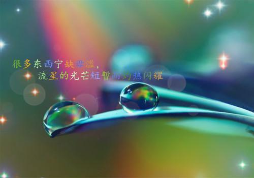 江望舒顾寻舟小说全文免费阅读 江望舒顾寻舟最新章节