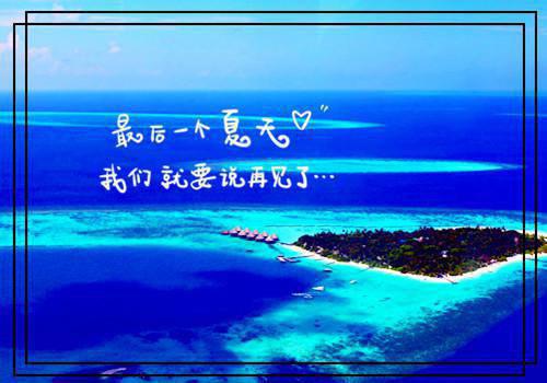 我和七朵金花(顾席延宋舒)无弹窗阅读