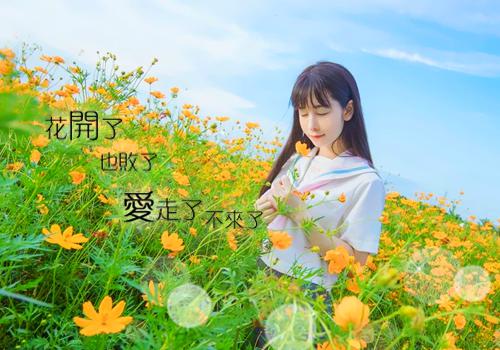 李圆圆林小溪免费阅读目录 李圆圆林小溪小说全文