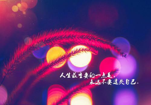 重生射雕：我就是武林一霸小说 段星炎黄蓉在线阅读