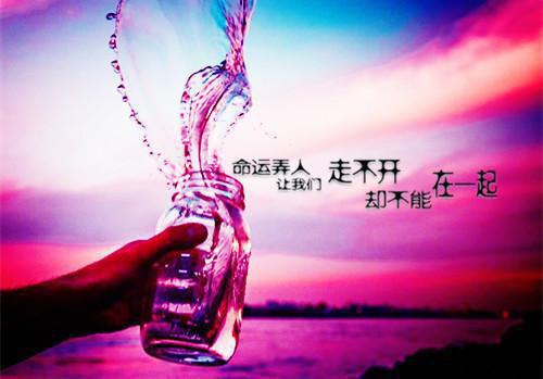 女友白月光回国我提分手小说(江永飞沈庆琳)章节阅读