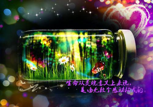 楚生免费小说 楚生在线阅读