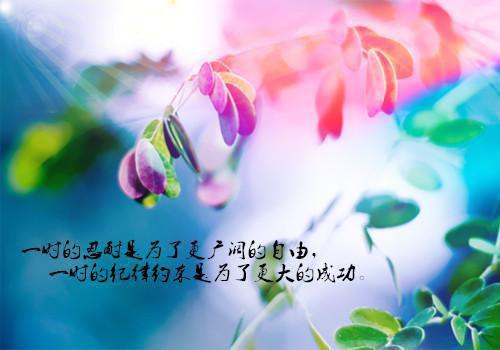 经年离歌愁未休倾心编著（顾允廷宋卿落）最新推荐_最新推荐经年离歌愁未休倾心编著（顾允廷宋卿落）