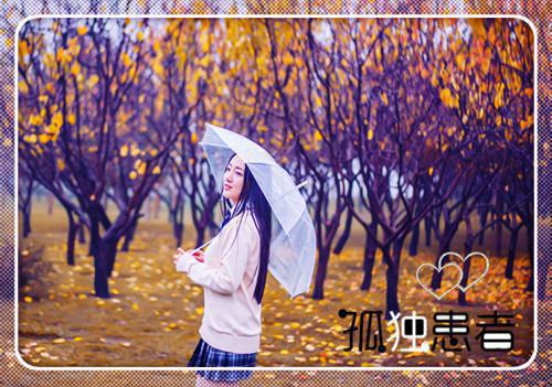 半是风雨半是霜：结局+番外免费阅读无弹窗大结局_（顾宴辞宋相欢）半是风雨半是霜：结局+番外最新章节列表_笔趣阁（顾宴辞宋相欢）