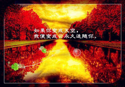 云千妩陈淮安小说 云千妩陈淮安免费章节阅读