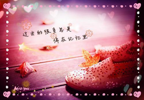 再回首，嗅青梅吴叶严钲殷雪小说(完整)免费阅读
