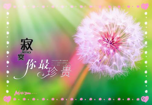 花影浮云与君诀小说全文免费阅读在线阅读 林知韵楚瑾川小说