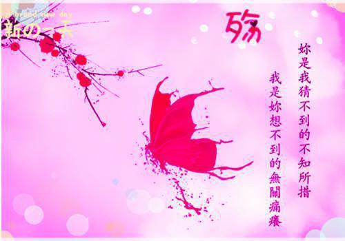 我只想争第一最新更新 季丞夏湾湾免费读