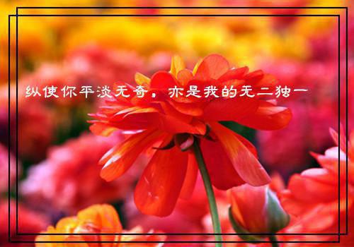 全本当女配看见弹幕后,被病娇男主强制爱了：+后续+结局（裴纪洲江柠）最新章节列表_全本当女配看见弹幕后,被病娇男主强制爱了：+后续+结局全文阅读
