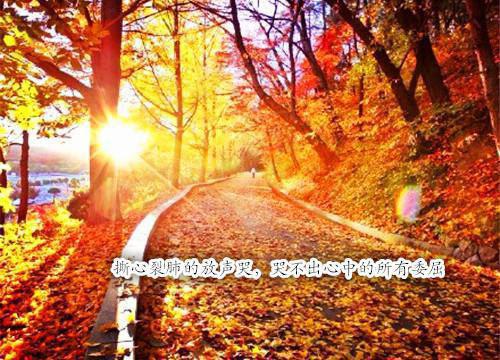 萧墨楚瑶免费完结版 霜落寒鸦此身向晚萧墨楚瑶小说阅读