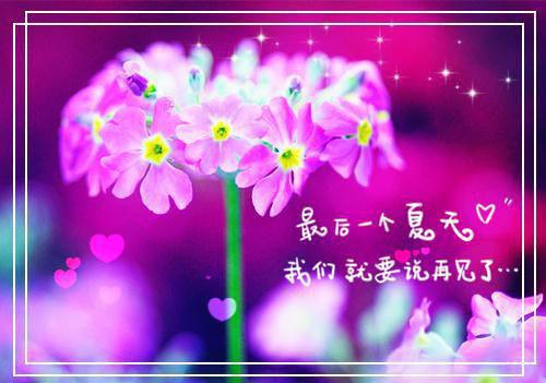 苏清雅林宛瑜小说免费试读 苏清雅林宛瑜第一章